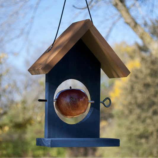Woodlink Blue Wood Fruit Oriole Bird Feeders