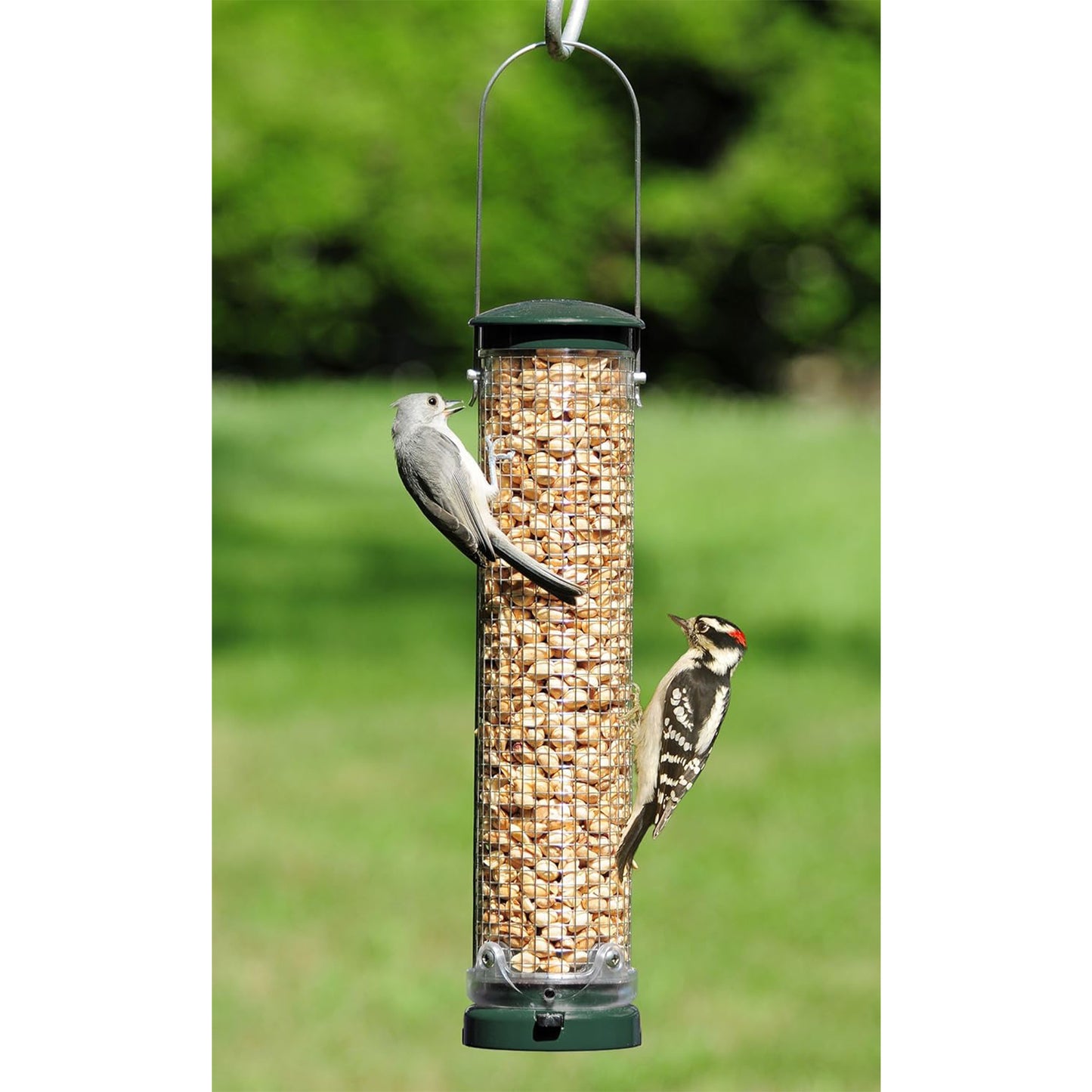 Aspects Quick Clean Medium Mesh Woodpecker Peanut Bird Feeder - 1.25 Quart