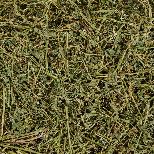 Kaytee Natural Alfalfa Mini Bale