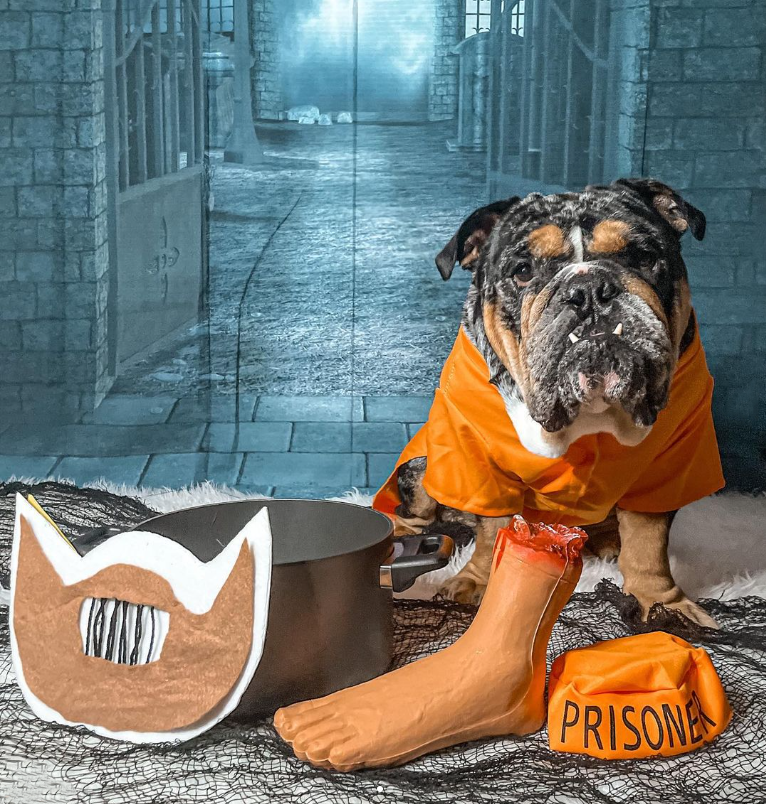 Midlee Orange Prisoner Costume