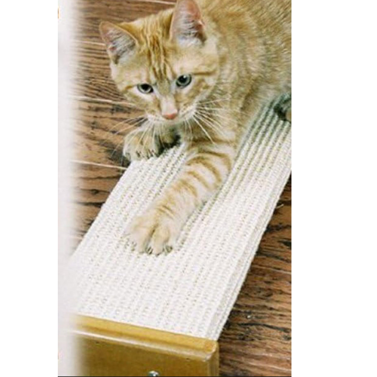 Pioneer Pet SmartCat Bootsie's Combination Wall Scratcher