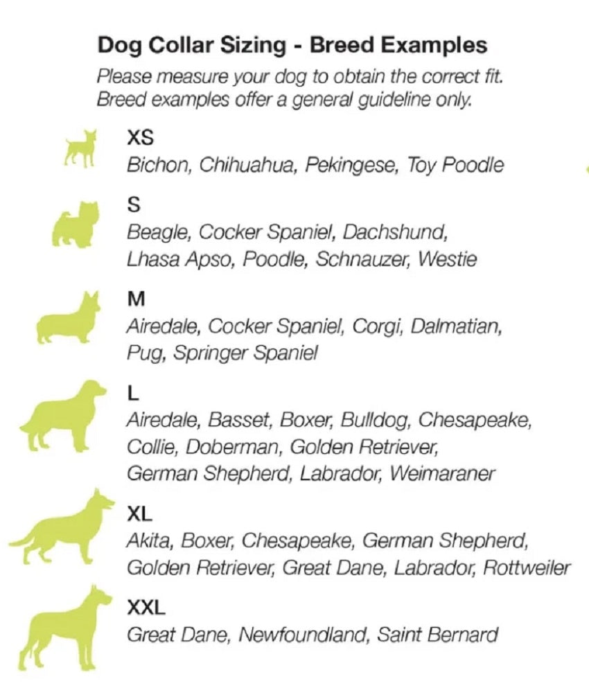 Up Country Fun-Nuts Dog Collar - Medium (12 to 18 inches) 5/8 inch Narrow