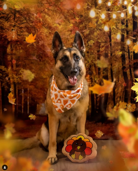 Midlee Turkey Thanksgiving Sugar Cookie Dog Toy