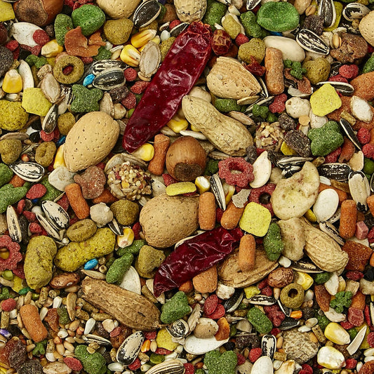 Kaytee Fiesta Max - Parrot Food-4.5lbs