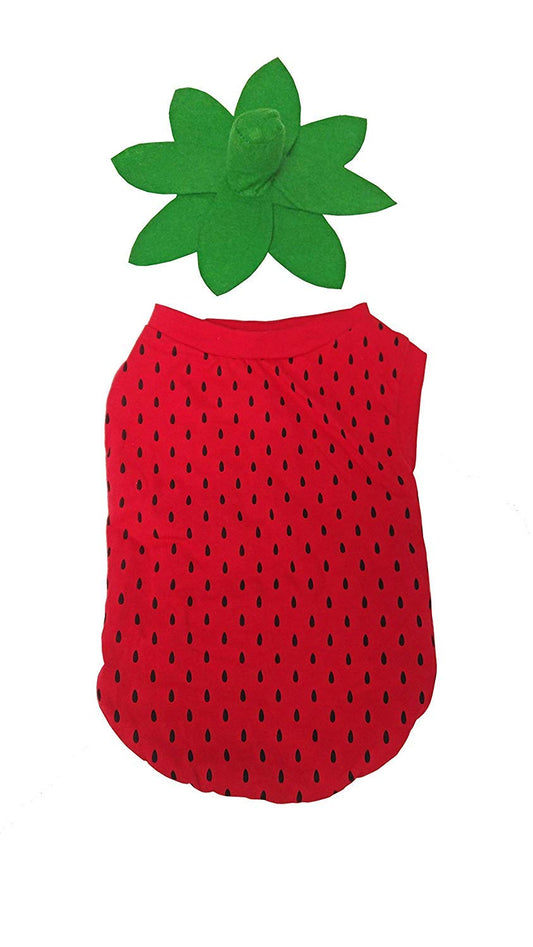 Midlee Strawberry Dog Costume