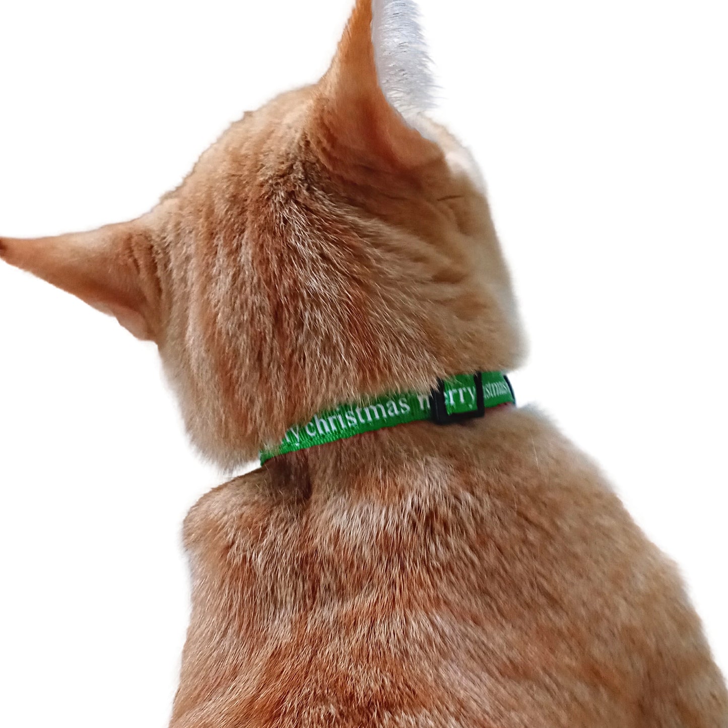 Midlee Merry Christmas Cat Collar with Safety Buckle