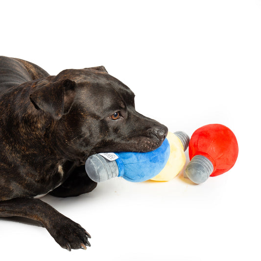 Plush Christmas Lights Dog Toy- Set of 3