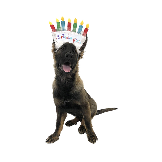 Midlee Birthday Dog Headband (Birthday Girl)