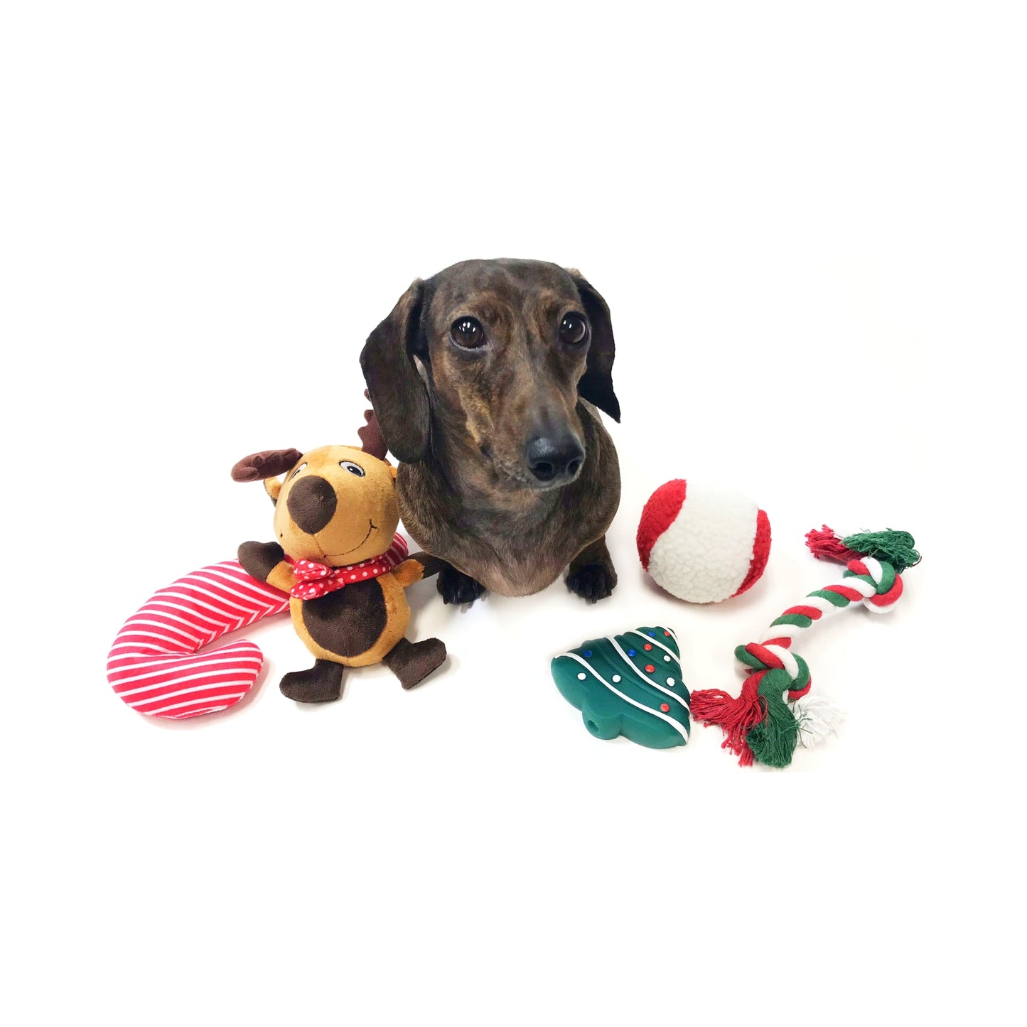 Midlee Dog Christmas Stocking Filled with Toys