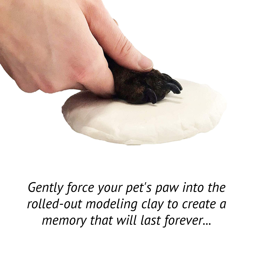 Midlee White 4 Photo Paw Print Frame