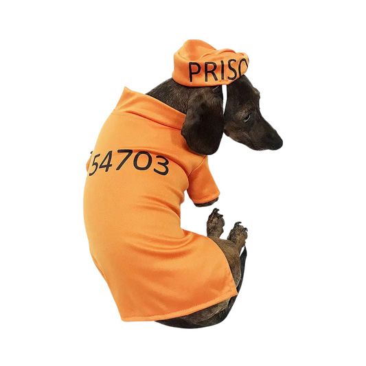 Midlee Orange Prisoner Costume