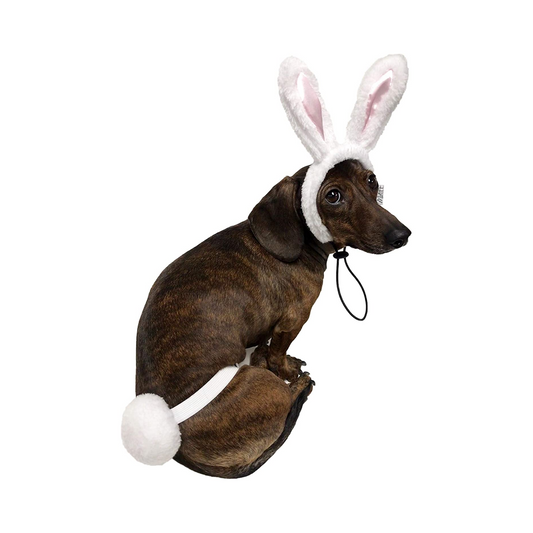 Midlee White Bunny Ears for Dogs with Tail