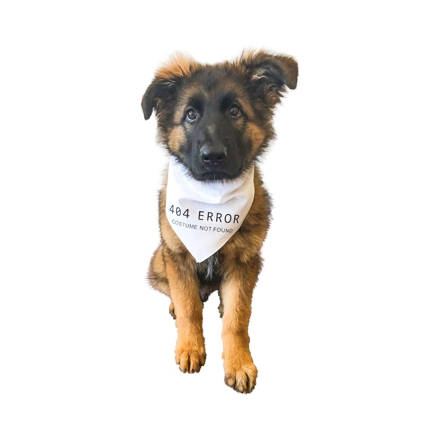 Midlee 404 Error Costume Not Found Dog Halloween Bandana