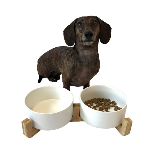 Midlee Modern Raised Pet Bowl on Stand (Double, White)