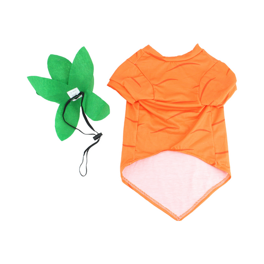 Midlee Carrot Easter & Halloween Dog Costume