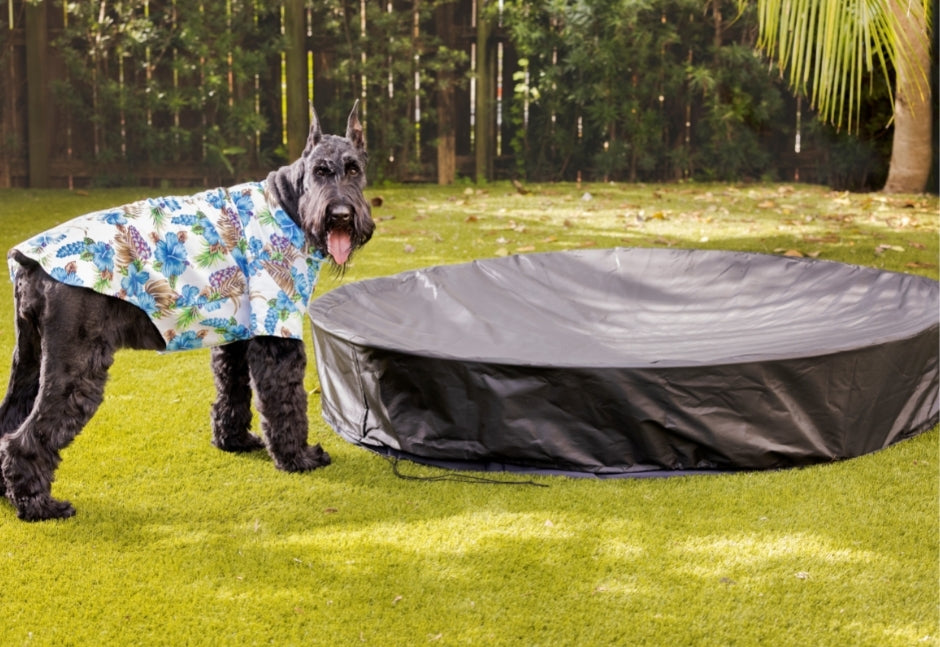 Midlee Black Dog Pool Cover- 63"
