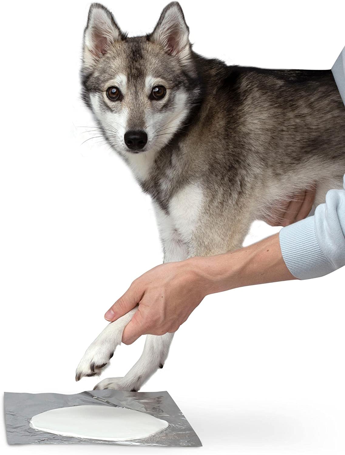 Midlee Christmas Dog Clay Paw Print Ornament Kit with Stand (2 Pack)