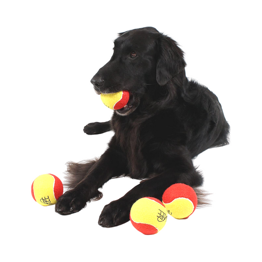 Midlee 3 Inch Large Tennis Balls for Dogs, Pack of 4 Durable Toy Balls