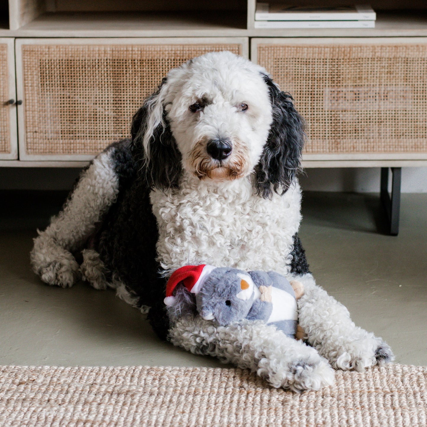 Midlee Christmas Squirrel Plush Furry Tail Large Dog Toy with Santa Hat - 9"- Squeaker Stuffed Holiday Gift
