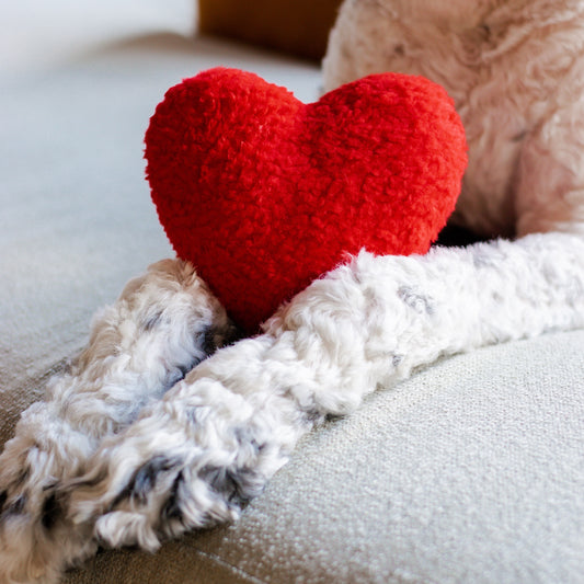 Plush Red Heart Valentine's Day Dog Toy