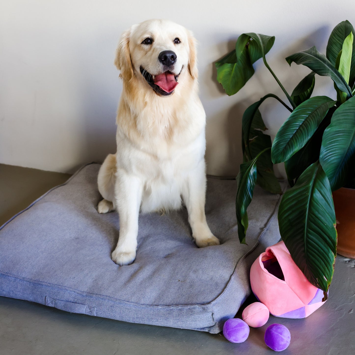 Midlee Hide a Ball Dog Toy - Pink/Purple