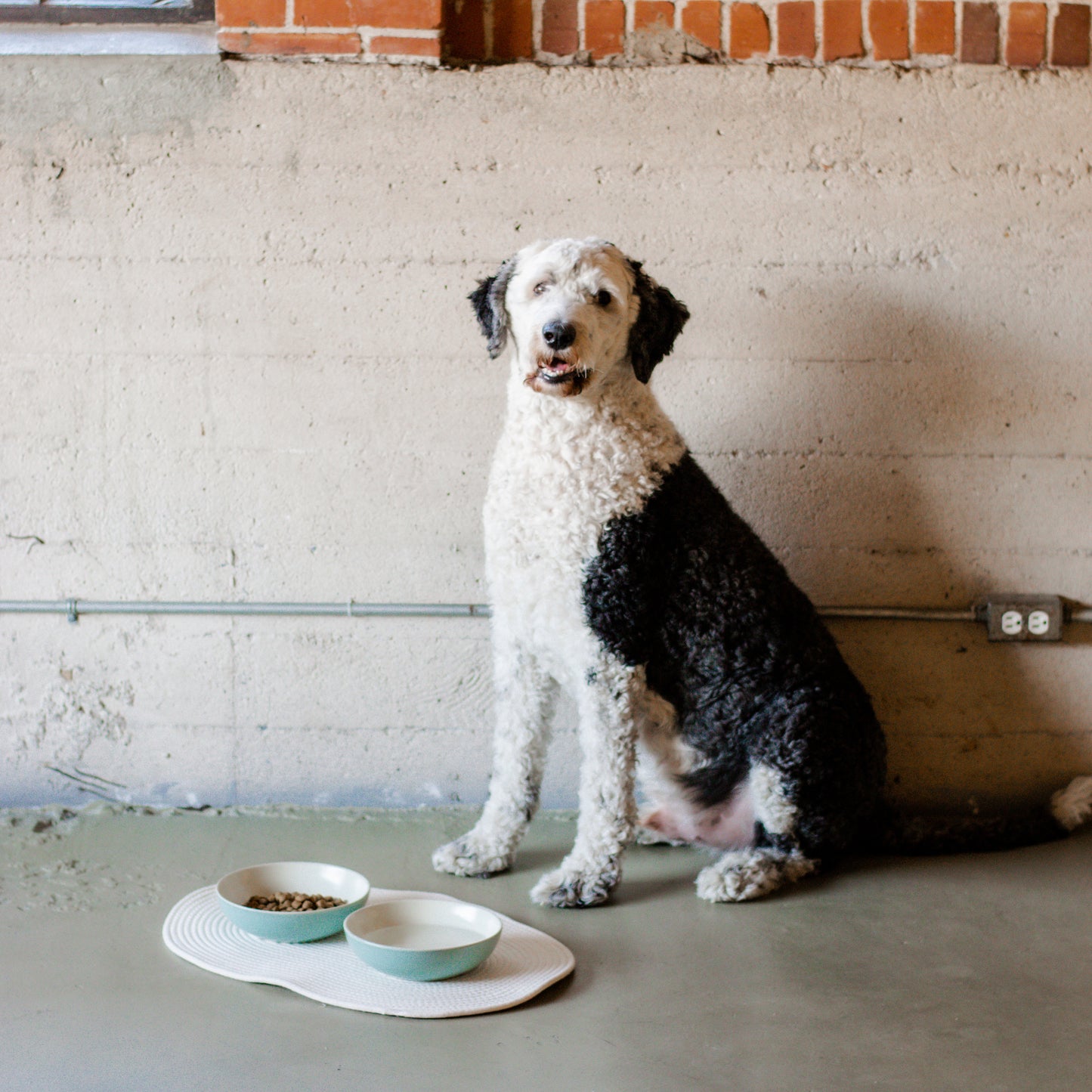 Midlee Rope Dog Bowl Placemat Cotton Indoor Pet Cat Mat Food Water Mat