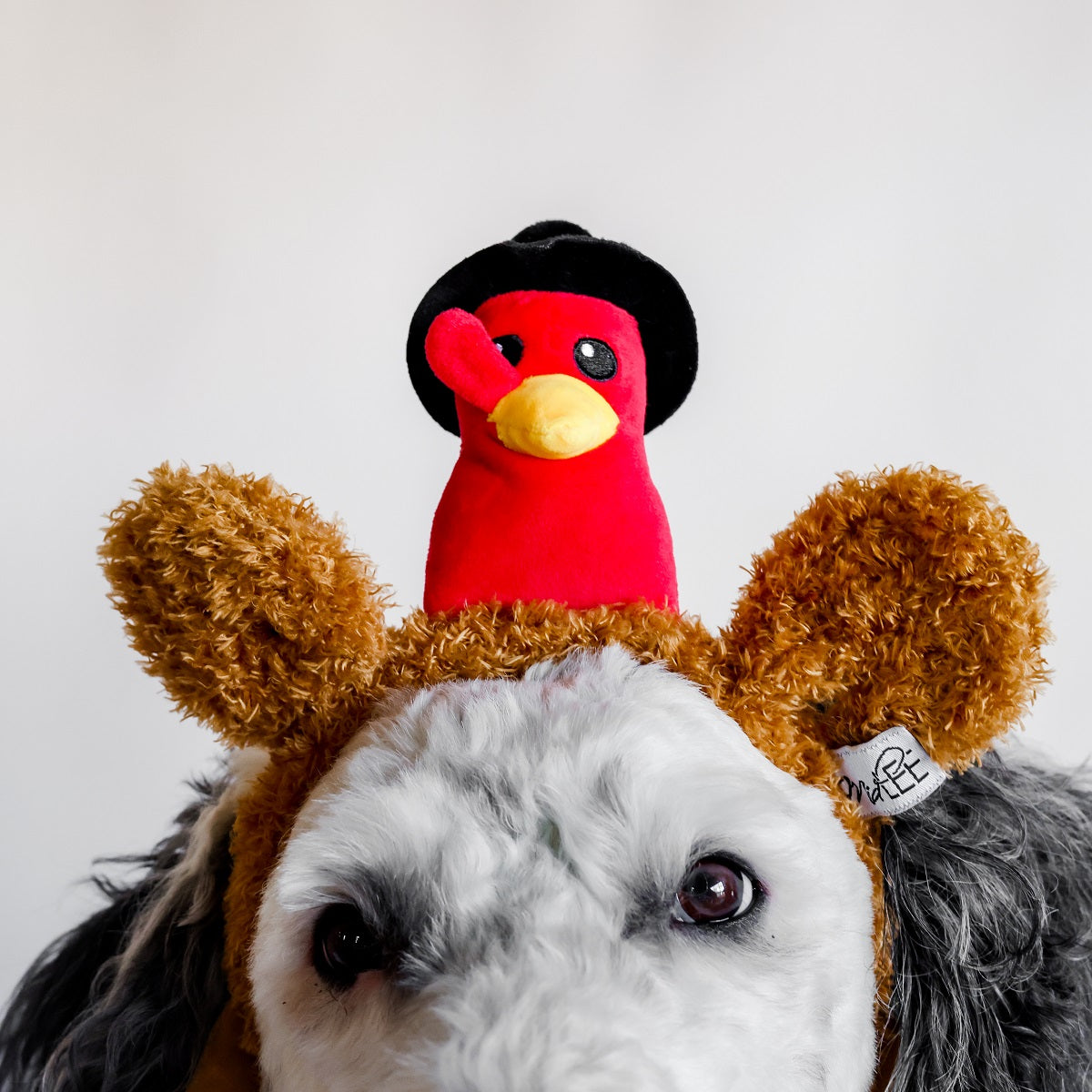 Midlee Pilgrim Turkey Thanksgiving Dog Headband
