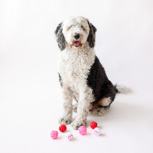 Midlee Valentine Plush Balls Dog Toy - Set of 6