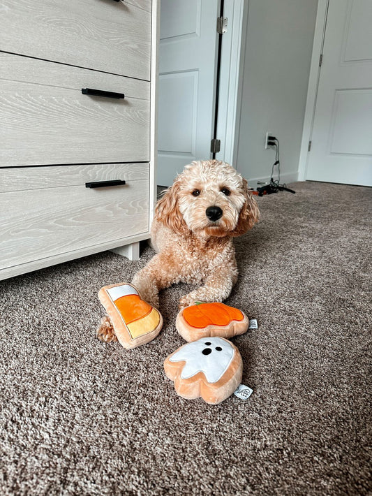 Midlee Boo Sugar Cookie Halloween Plush Dog Toys