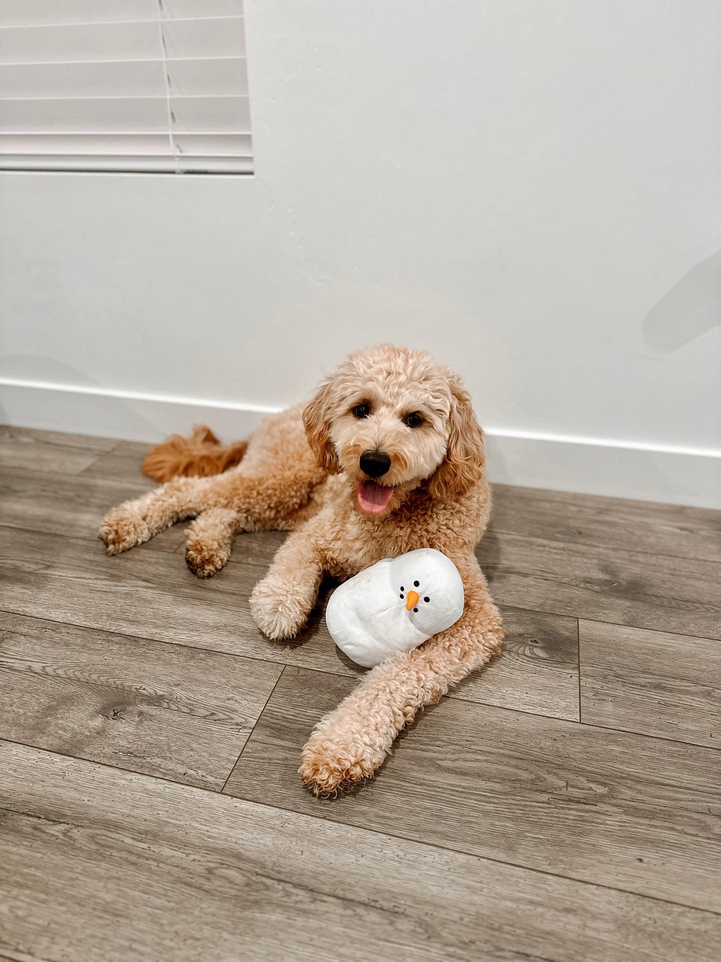 Midlee Marshmallow Snowman Dog Toy- Winter Plush Tug Tug