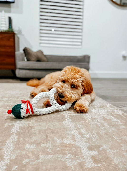 Midlee Snowman 2 Ring Rope Tug Christmas Dog Toy