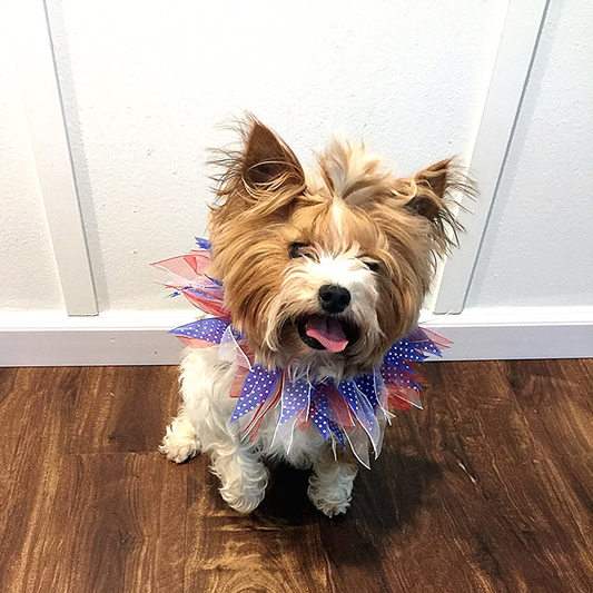 Midlee Patriotic Dots 4th of July Dog Collar