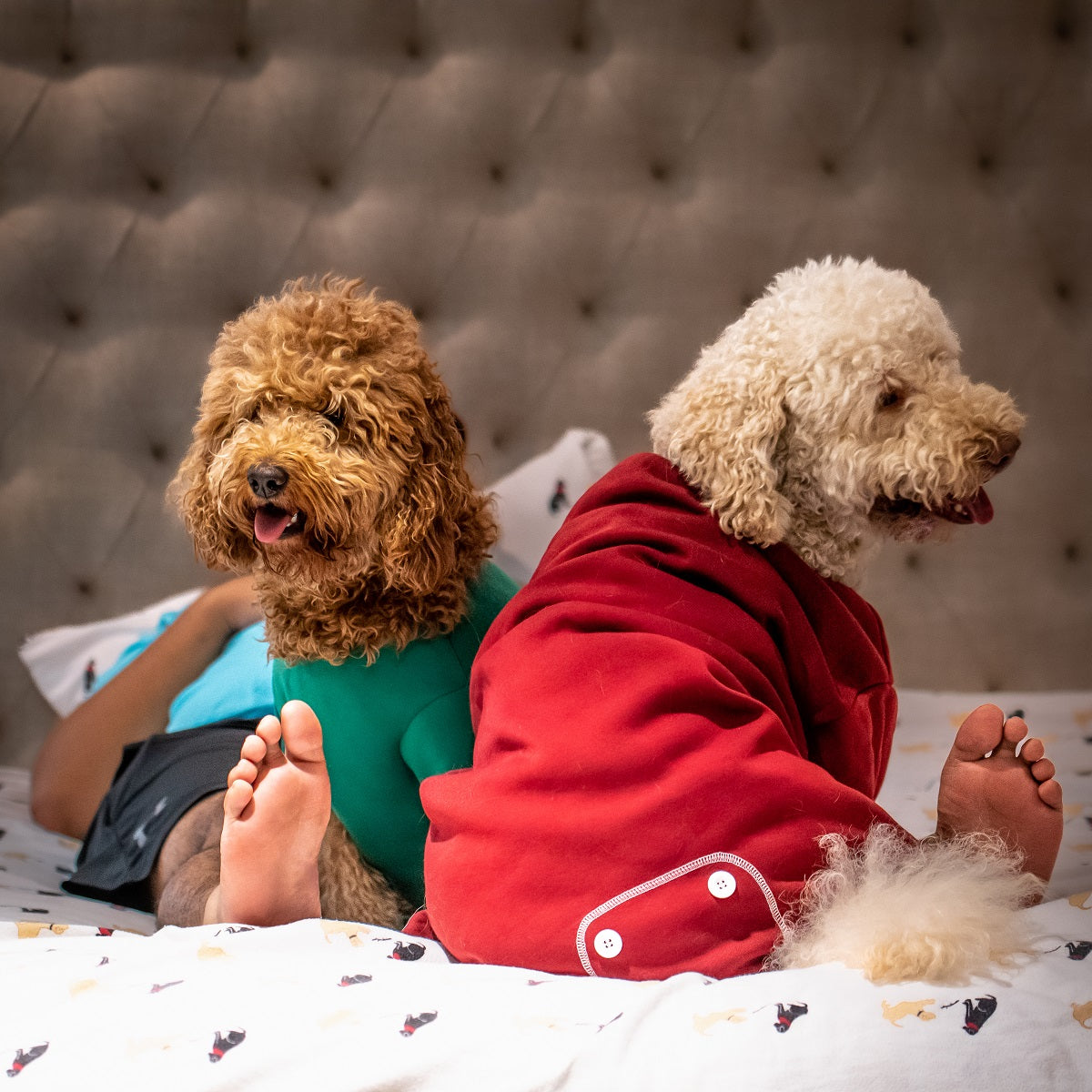 Midlee Green Dog Sweatshirt