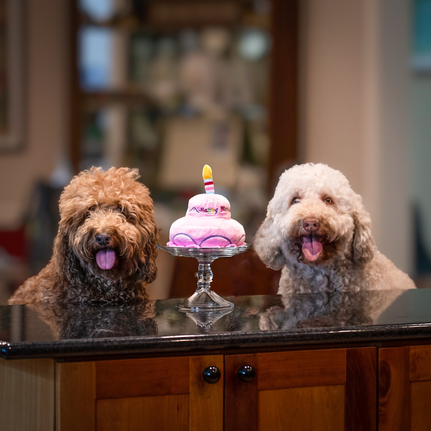 Midlee 2 Layer Birthday Cake Dog Toy (Pink)