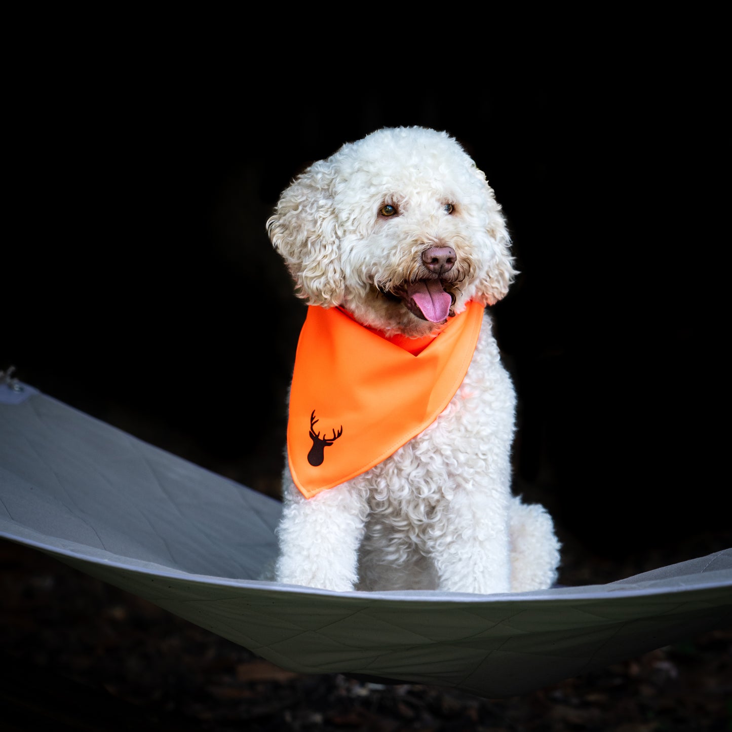 Midlee Blaze Orange Hunter Safety Dog Bandana