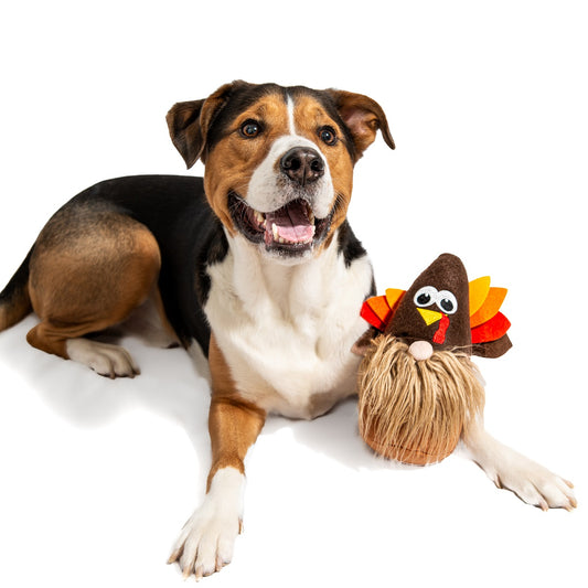Midlee Thanksgiving Gnome Dog Toy with Hidden Ball