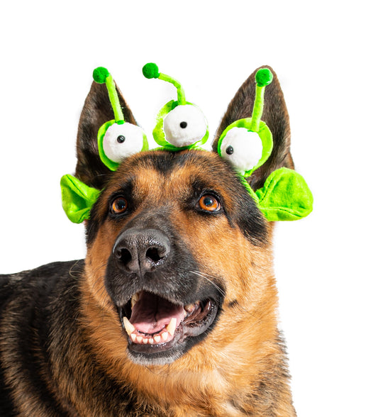 Midlee Alien Dog Headband Costume