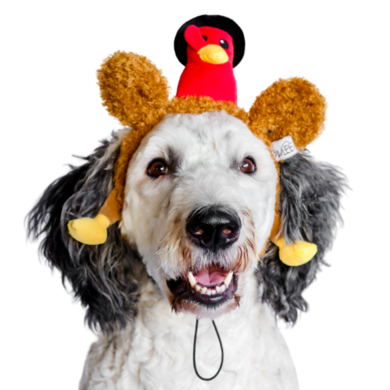 Dog sales turkey hat