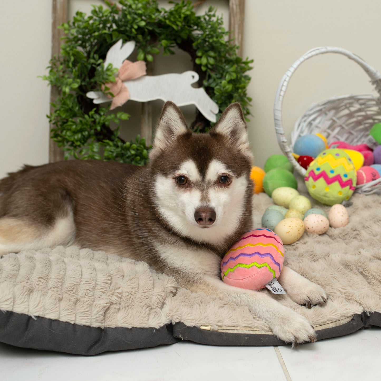 Midlee Easter Egg Plush Dog Toy - Pink