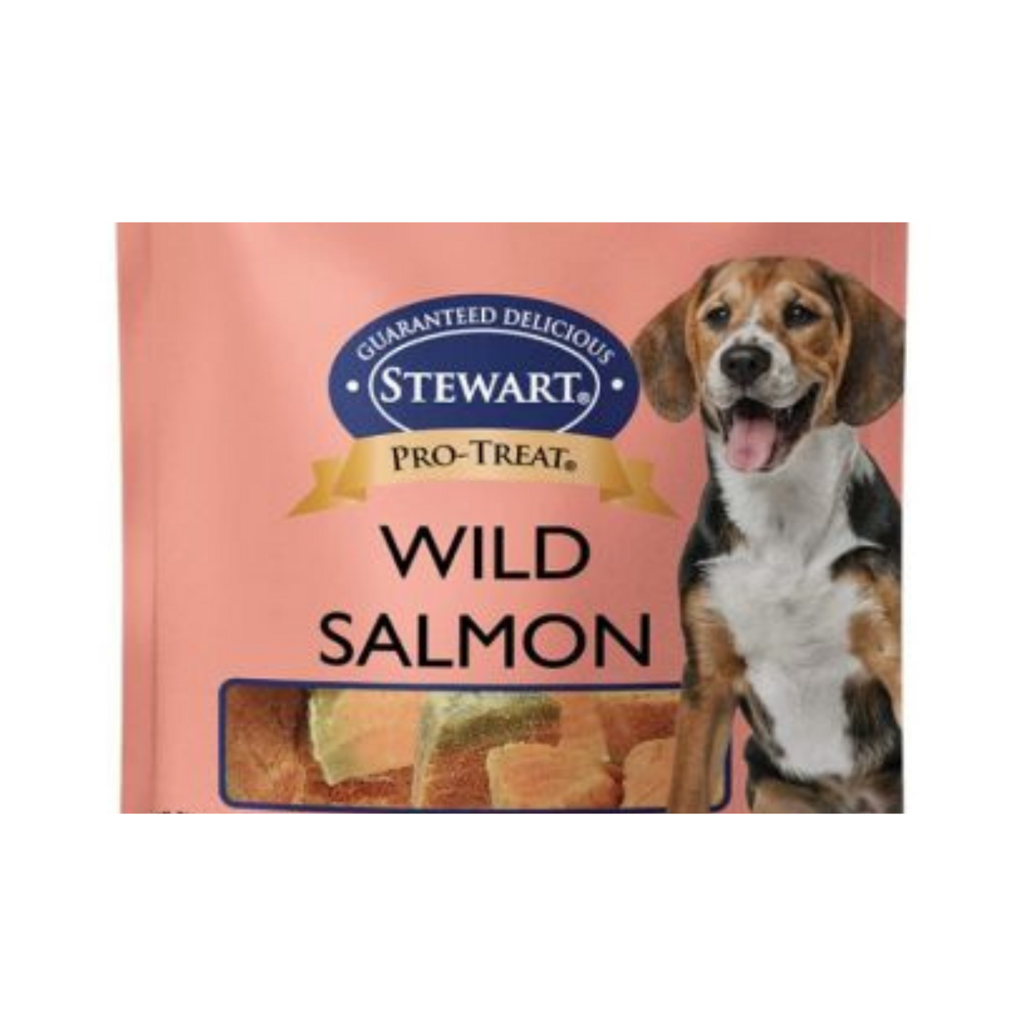 Stewart Freeze Dried Wild Salmon Treats 2.75oz