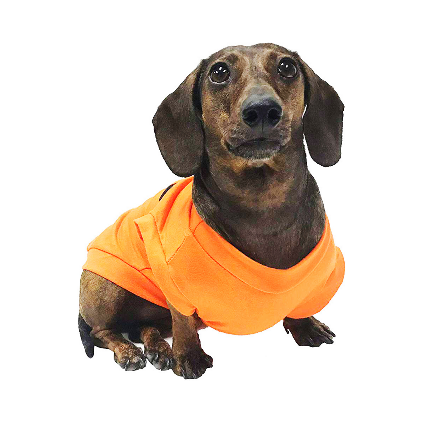 Midlee Pumpkin Face Dog Shirt Costume