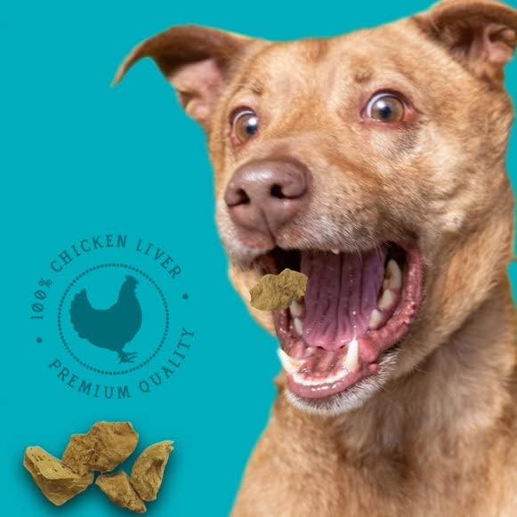 Stewart Pro-Treat 100% Freeze Dried Chicken Liver for Dogs - 3 oz