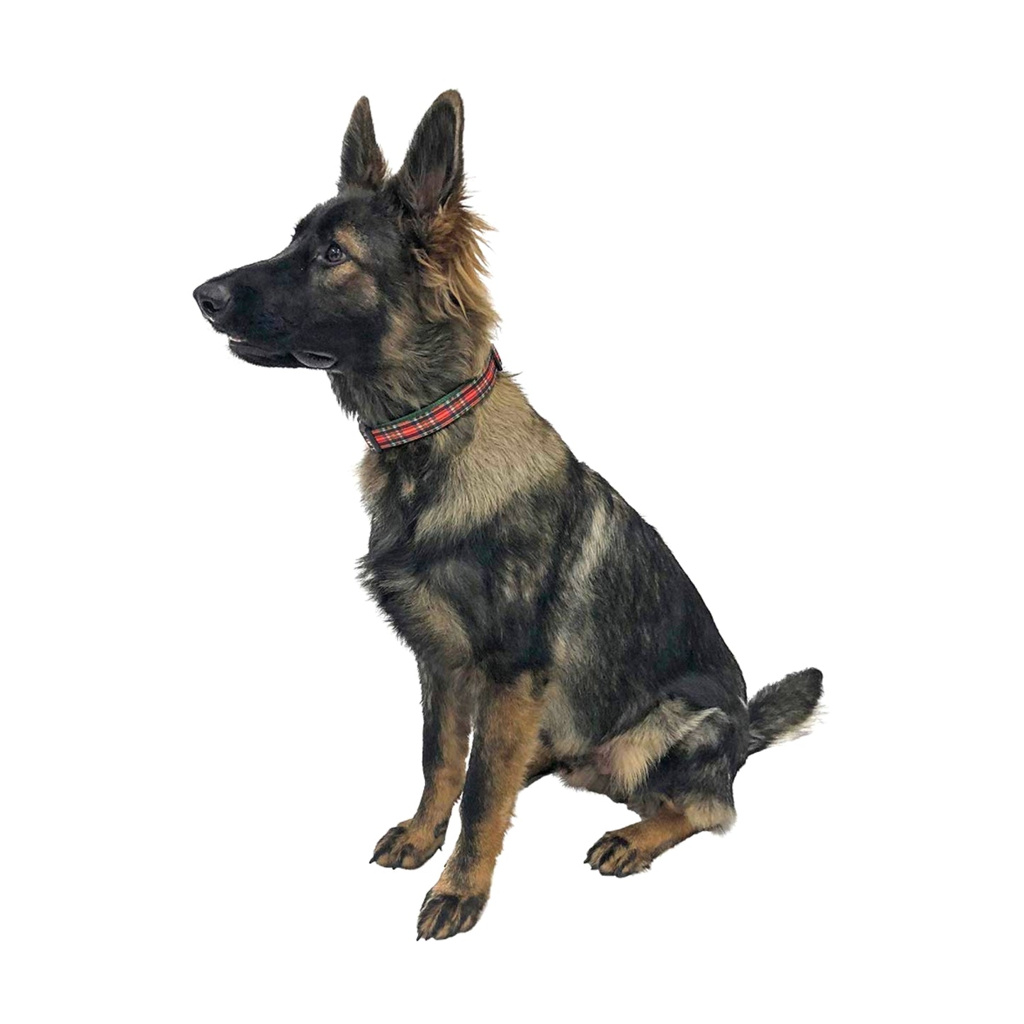 Midlee Red Plaid Christmas Nylon Ribbon Dog Collar