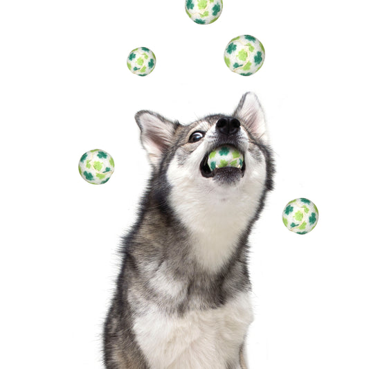 St, Patrick's Day Shamrock Dog Tennis Balls (Mini)