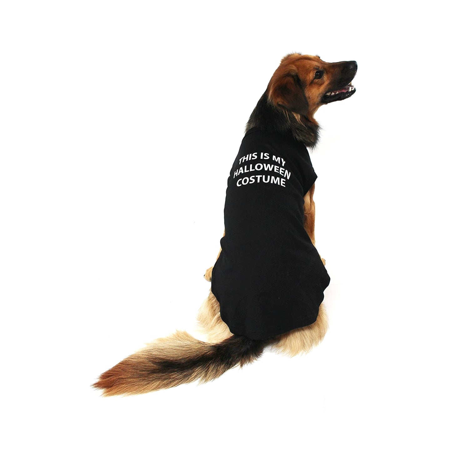 Midlee This is my Halloween Costume Dog Shirt (Small)