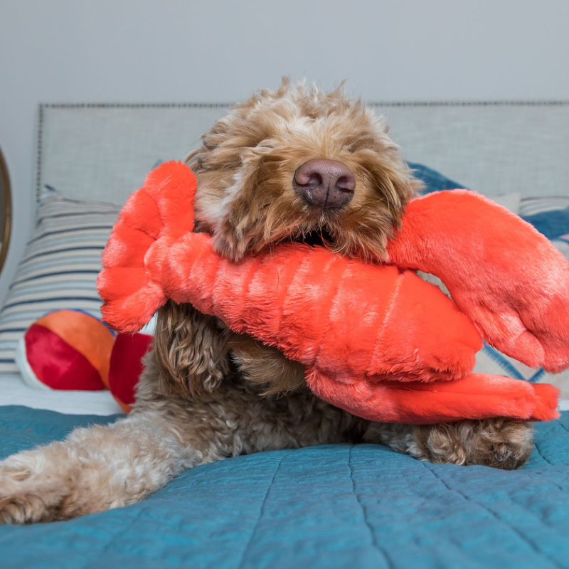 Fluff & Tuff Manny Lobster Dog Toy - 11"