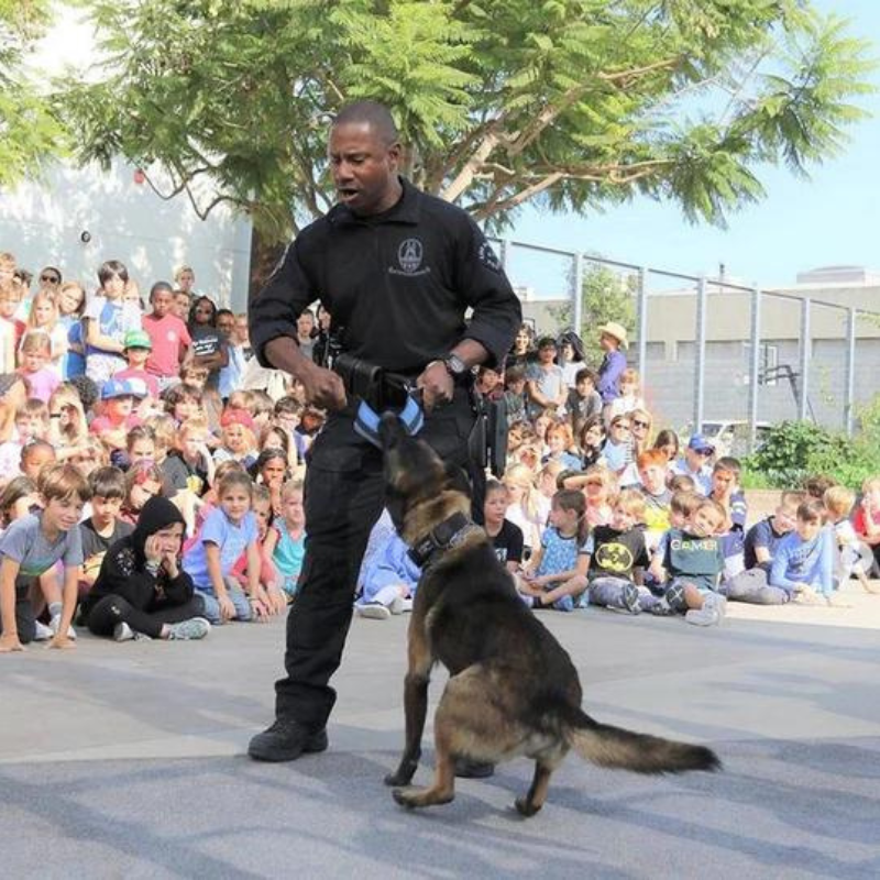 Katie's Bumpers Double Tug Firehouse Dog Toy, Assorted