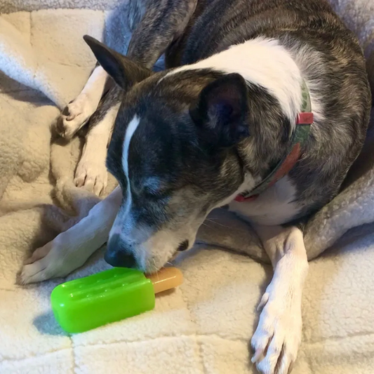 Cool Pup Cooling Green Popsicle Dog Toy- Mini