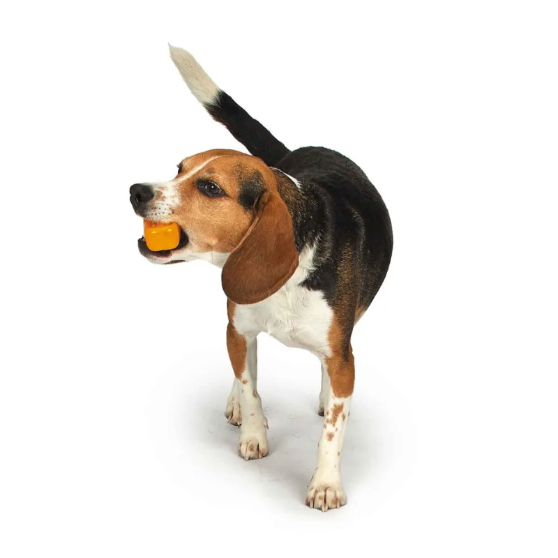 Cool Pup Cooling Green Popsicle Dog Toy- Mini