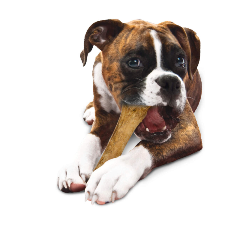 Nylabone Dura Chew Smooth Chicken Flavor White Dog Bone - Souper